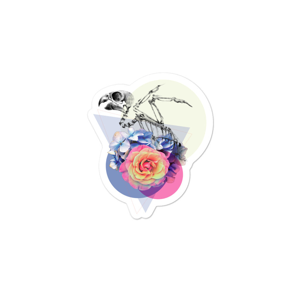 Rosè parrot