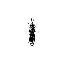 Load image into Gallery viewer, Bug stickers
