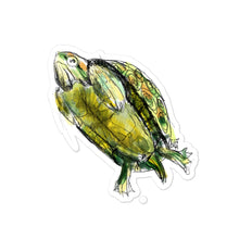 Load image into Gallery viewer, Tortuguita
