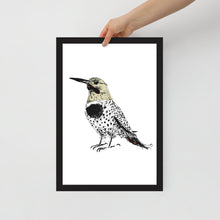 Load image into Gallery viewer, Woodpecker photo paper poster
